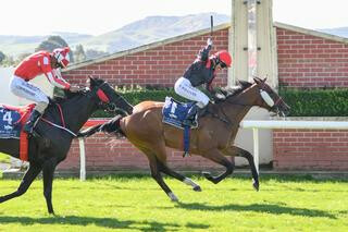 Miss Federer (NZ) doubled her lead in the NZB Southern Filly of the Year Series. Photo: Wild Range Photography.